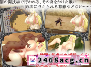 [手游] 女王子宫内的种子1.0.1汉化版PC+安卓 [2+1.6g][百度盘]-猫咪社