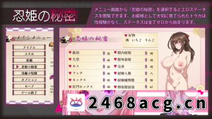 [RPG角色扮演] [自行打包] 【日系RPG精品/汉化/战斗H/NTR/PC】赤焰忍者公主透香Mtool汉化 [1+1.64G][百度盘] -猫咪社