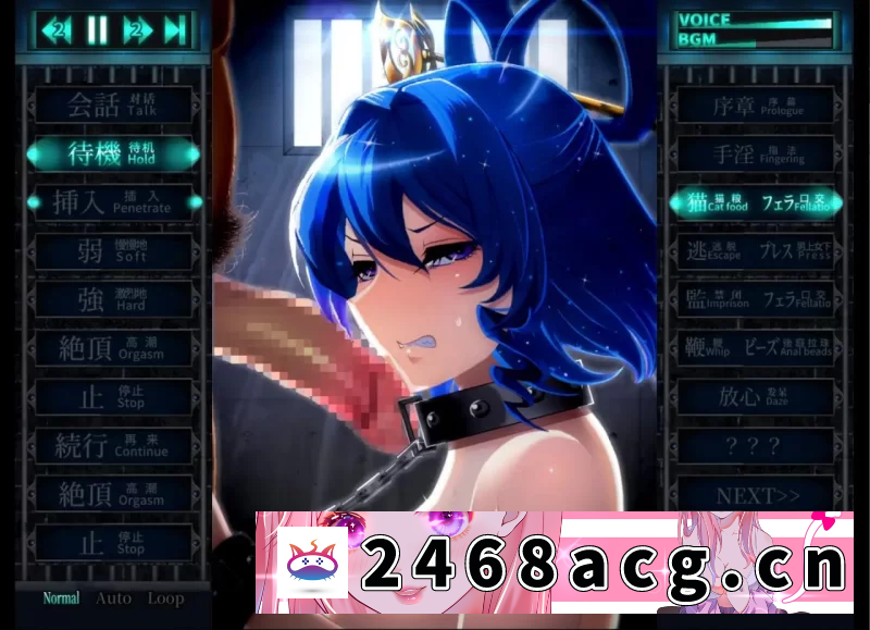 图片[14]-[端游] [自行打包] 【爆款/SLG/生肉/PC/战斗H】惩罚少女R v1.0+视频CG包 [1+102V+652MB+1.07GB][百度盘] -猫咪社