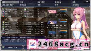 [RPG角色扮演] [自行打包] PC端游 艾妮希雅的契约纹1.02+手打存档+全cg [1+1.6G][百度盘]-猫咪社